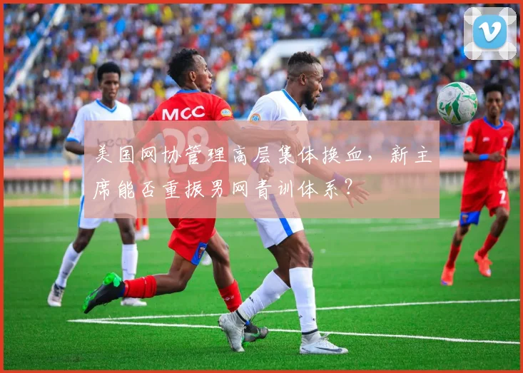 美国网协管理高层集体换血，新主席能否重振男网青训体系？